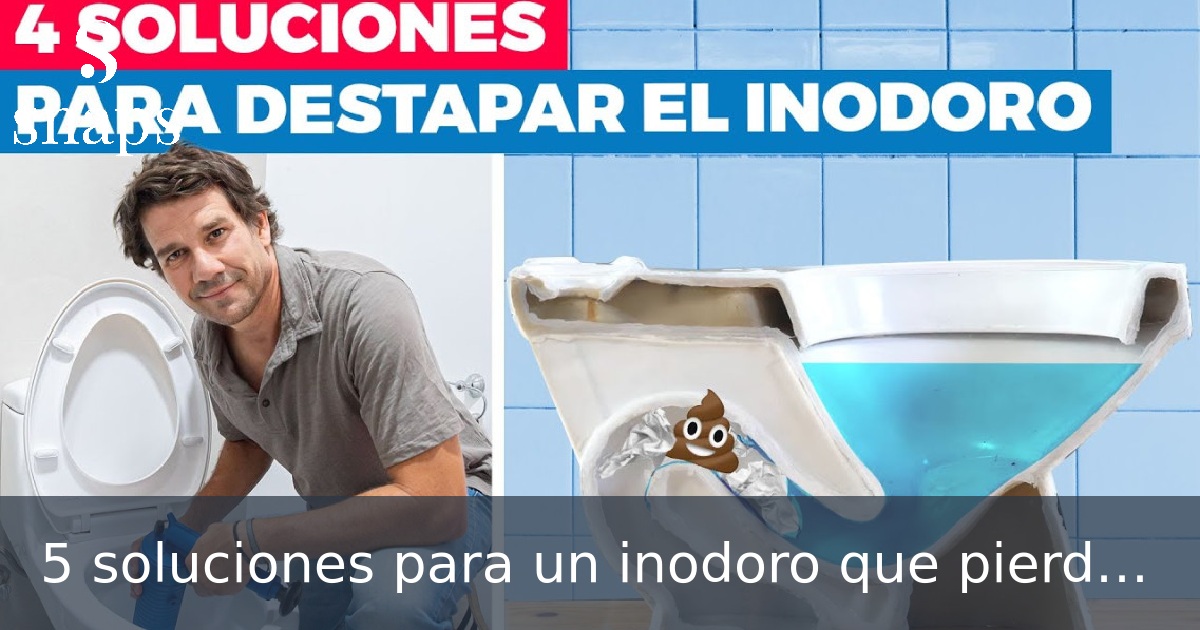 5 soluciones para un inodoro que pierde agua por dentro