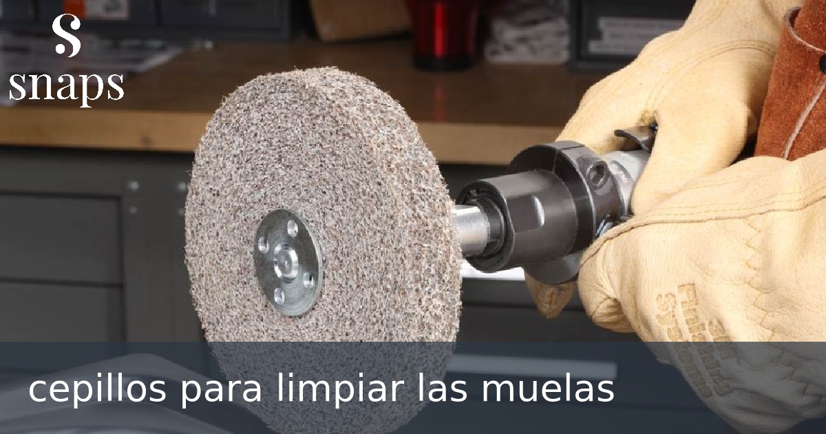 cepillos para limpiar las muelas