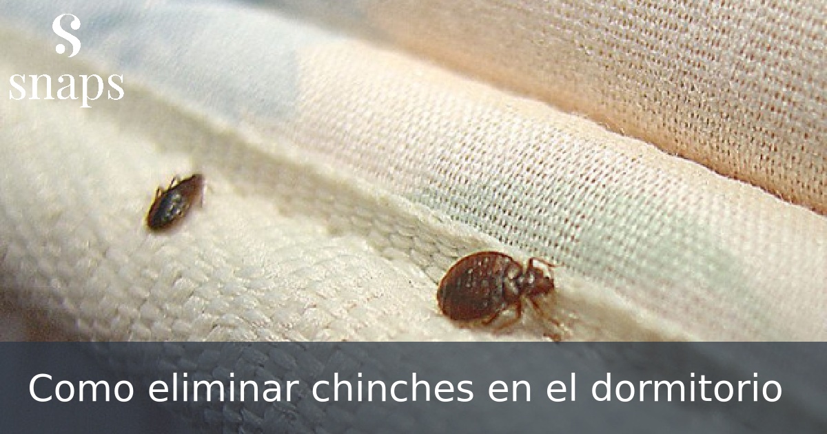 Como eliminar chinches en el dormitorio