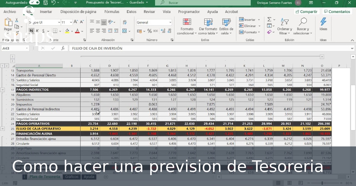 Como hacer una prevision de Tesoreria