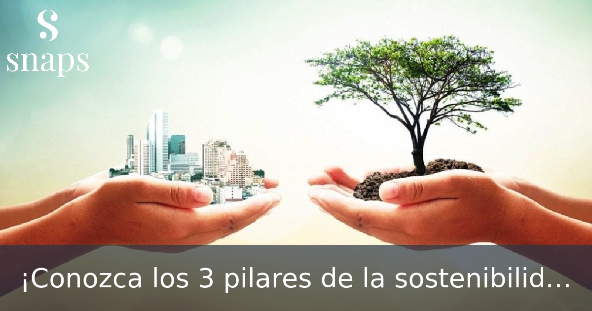 ¡Conozca los 3 pilares de la sostenibilidad!