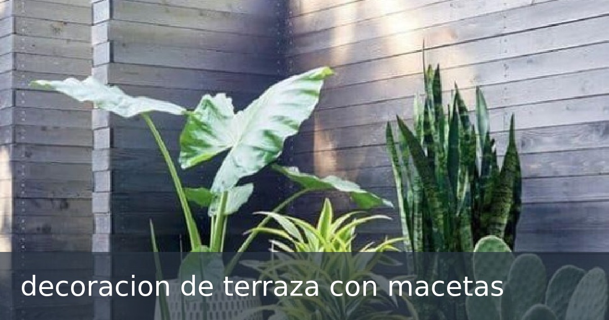 decoracion de terraza con macetas