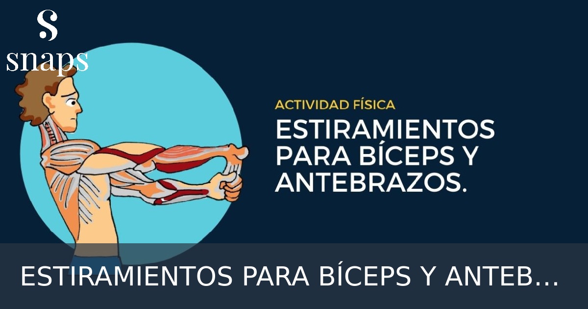 ESTIRAMIENTOS PARA BÍCEPS Y ANTEBRAZOS.