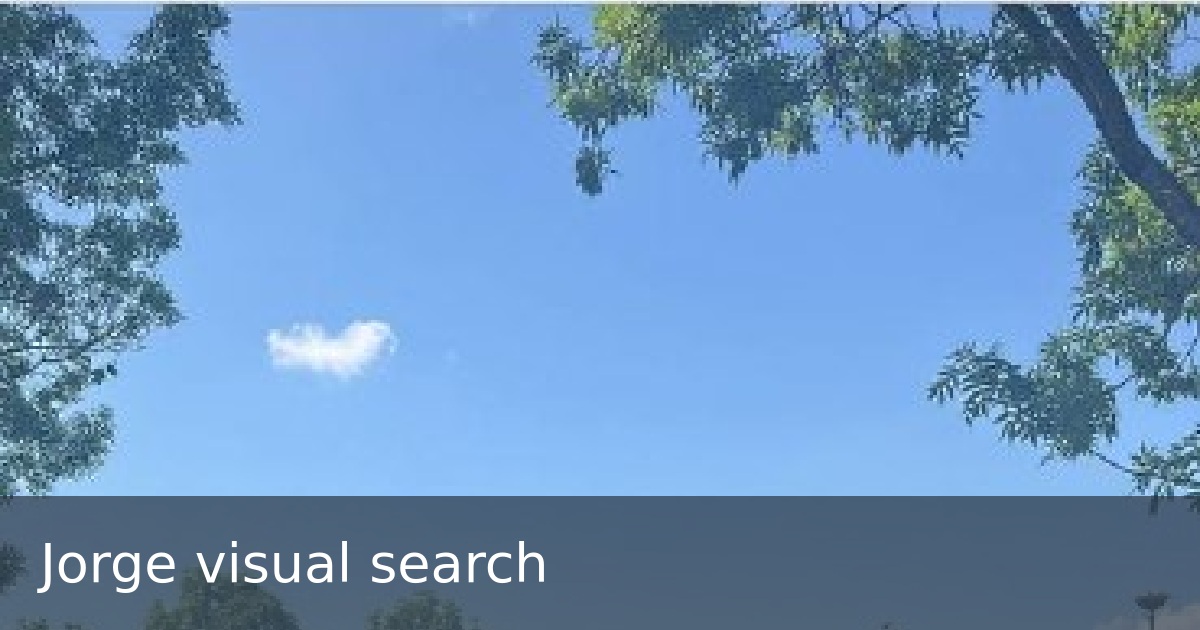 Jorge visual search