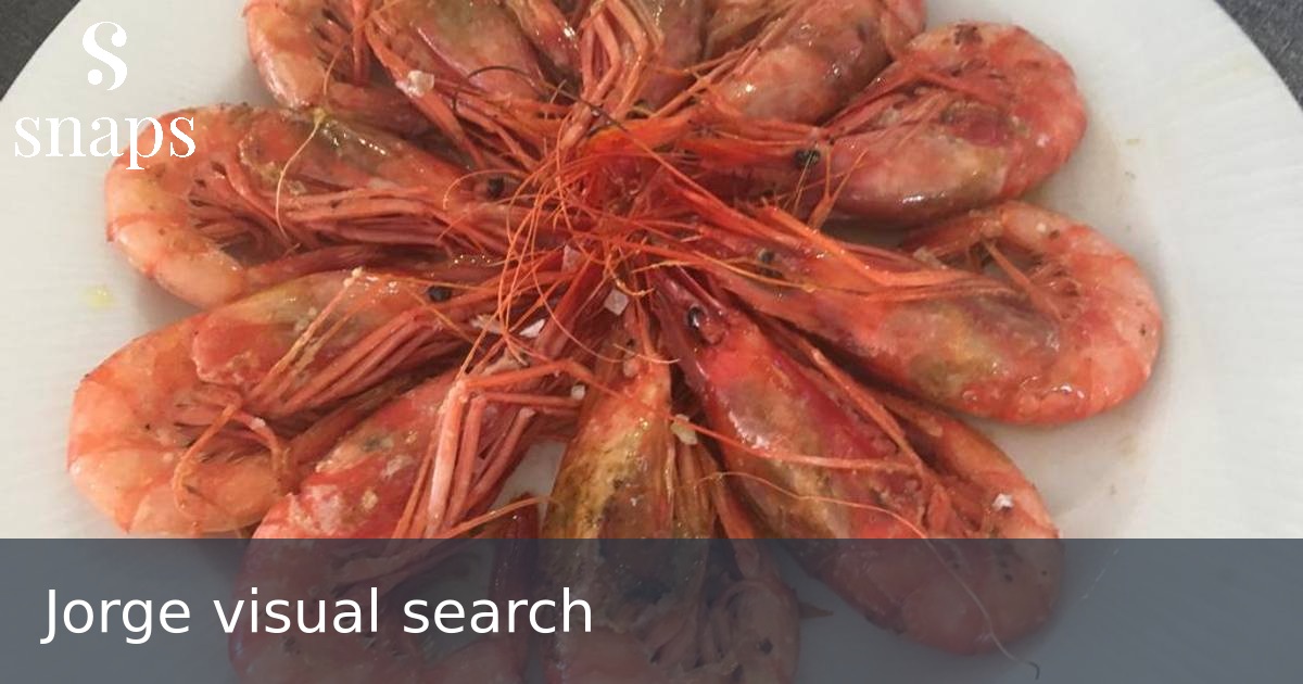 Jorge visual search