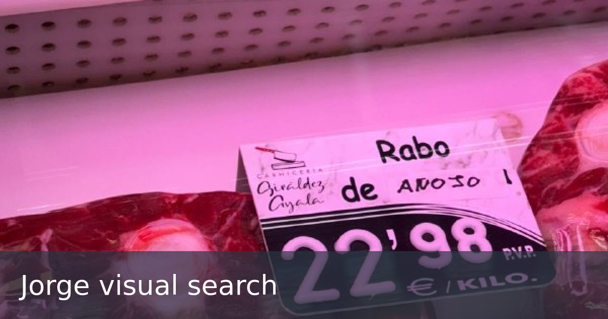 Jorge visual search