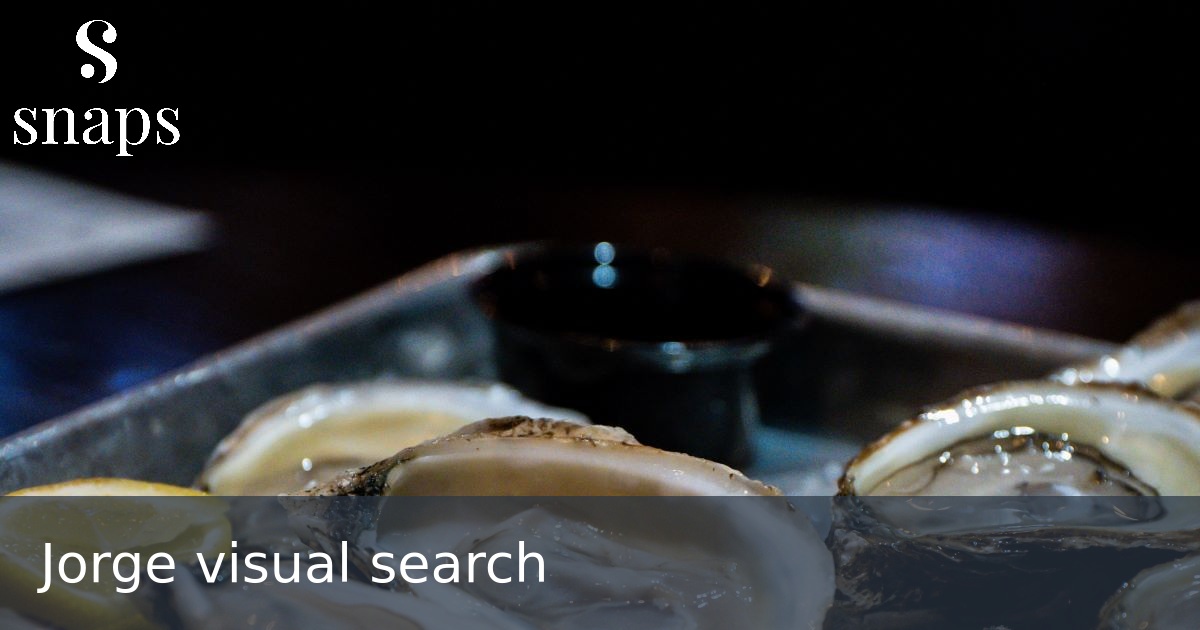 Jorge visual search