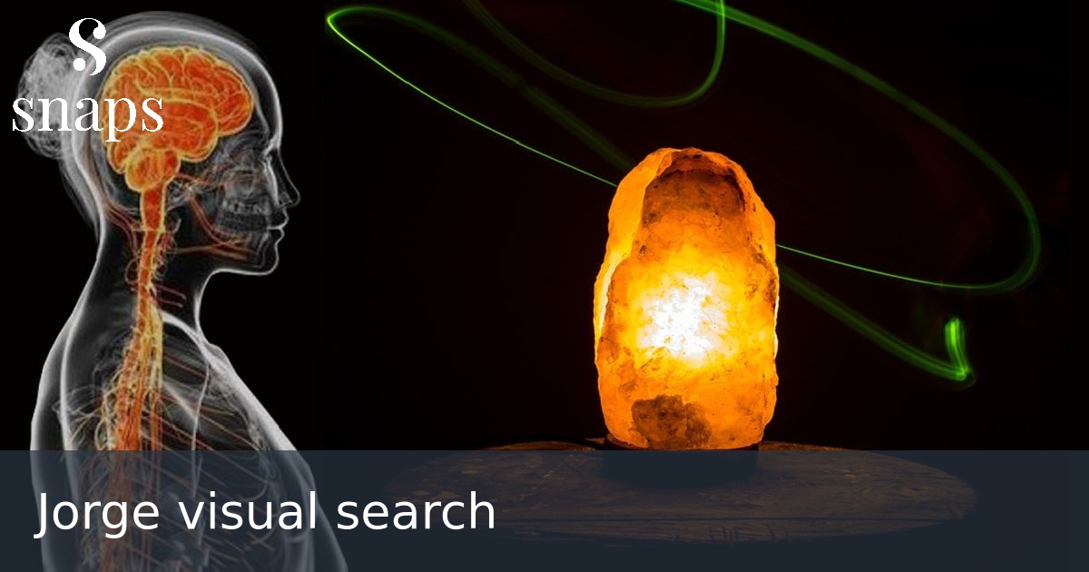 Jorge visual search