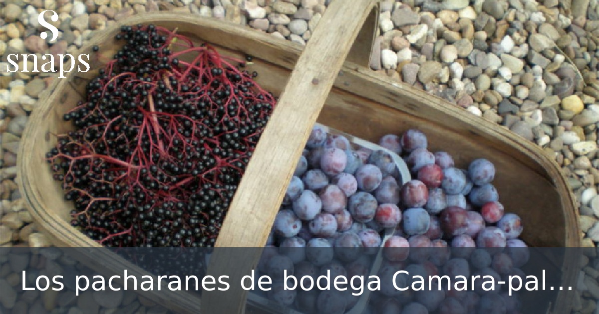 Los pacharanes de bodega Camara-palacios