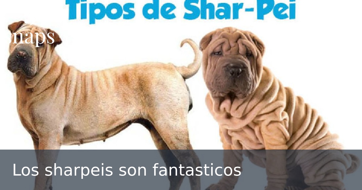 Los sharpeis son fantasticos