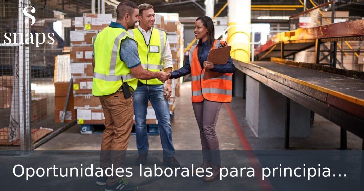 Oportunidades laborales para principiantes