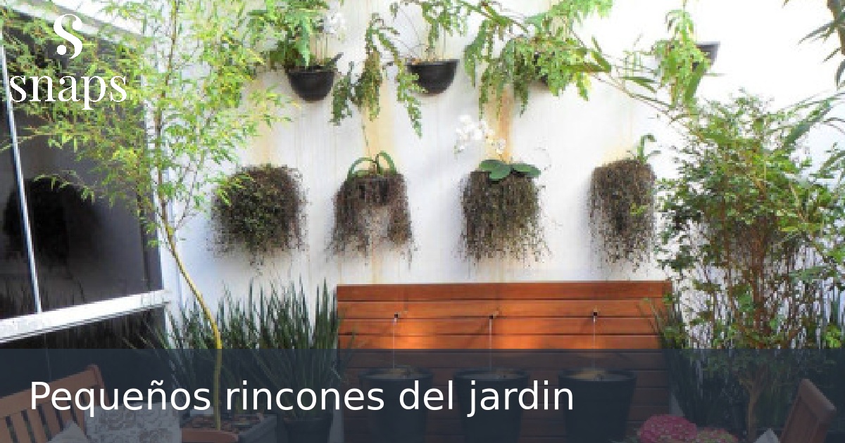 Pequeños rincones del jardin