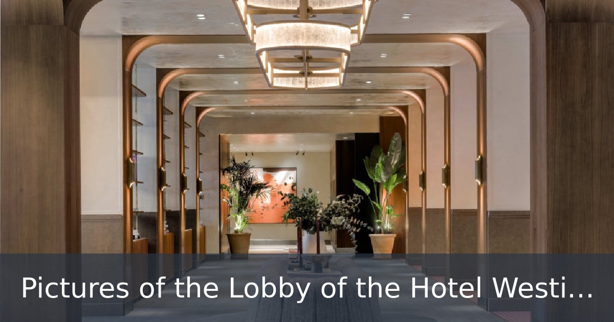 Pictures of the Lobby of the Hotel Westin Cuzco in Madrid 