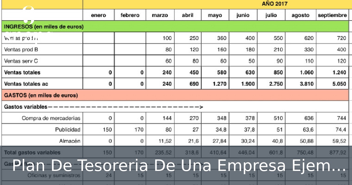 Plan De Tesoreria De Una Empresa Ejemplo