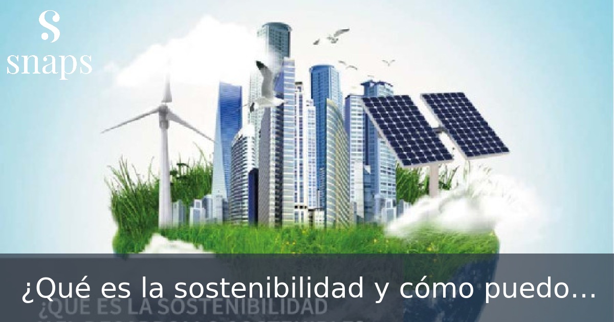¿Qué es la sostenibilidad y cómo puedo ayudar?