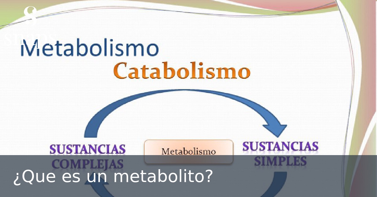 ¿Que es un metabolito?