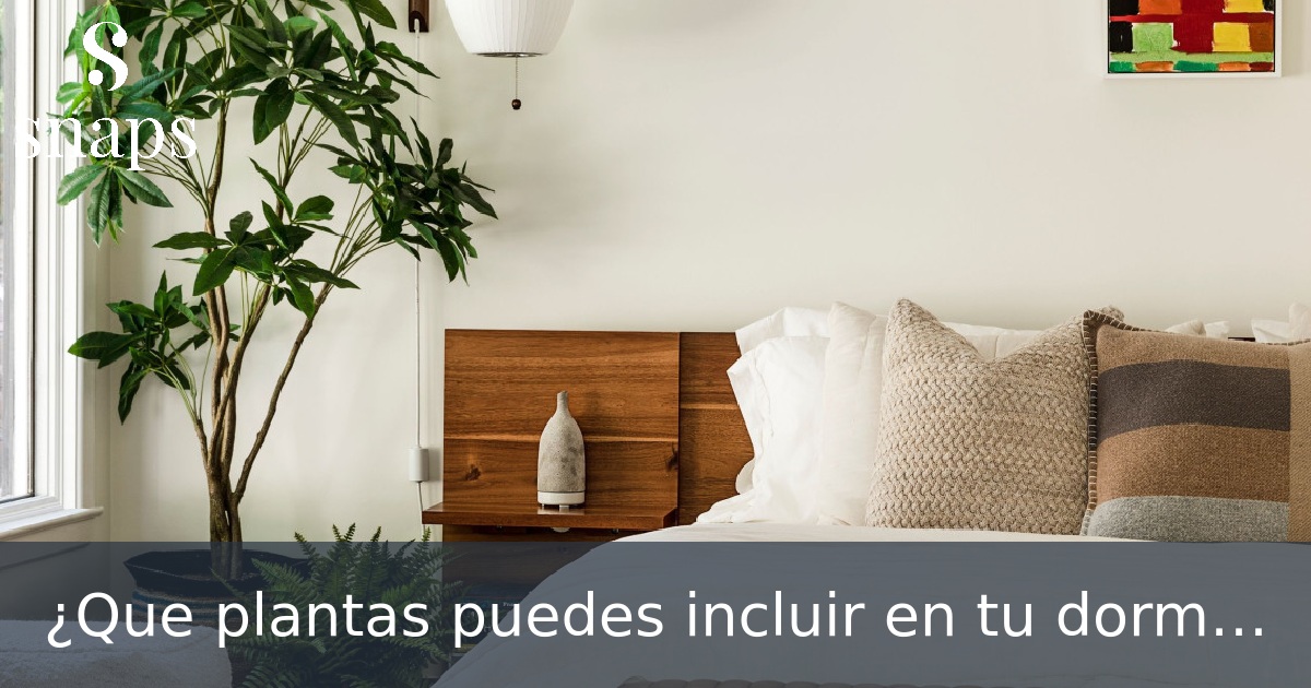 ¿Que plantas puedes incluir en tu dormitorio?