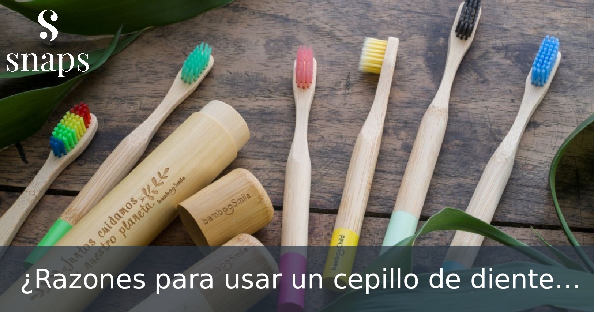 ¿Razones para usar un cepillo de dientes de bamboo?