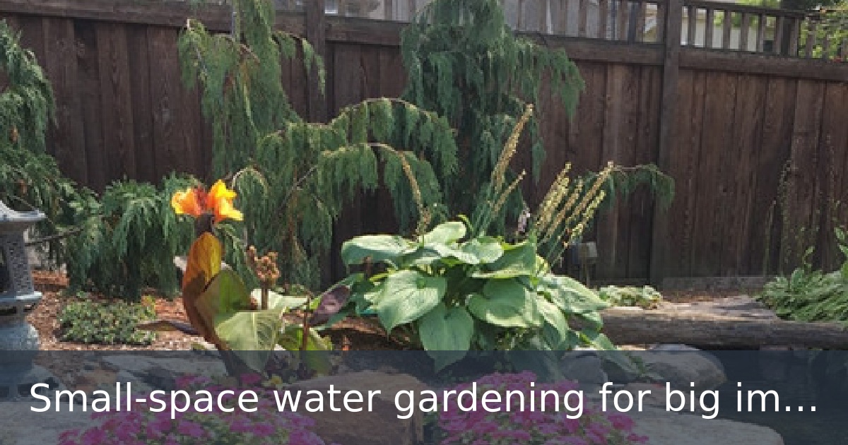 Small-space water gardening for big impact 