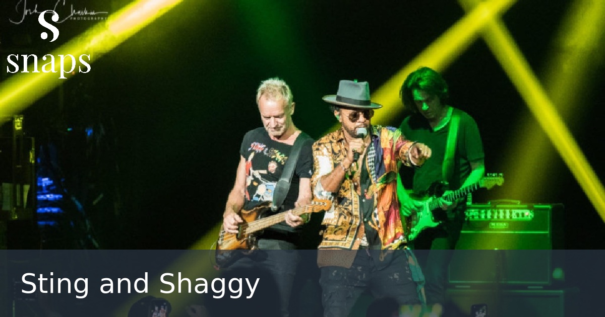 Sting and Shaggy