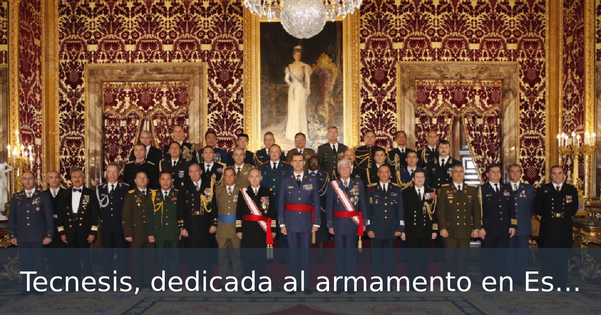 Tecnesis, dedicada al armamento en España