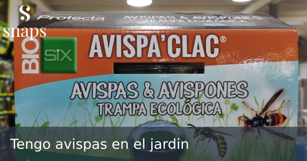 Tengo avispas en el jardin