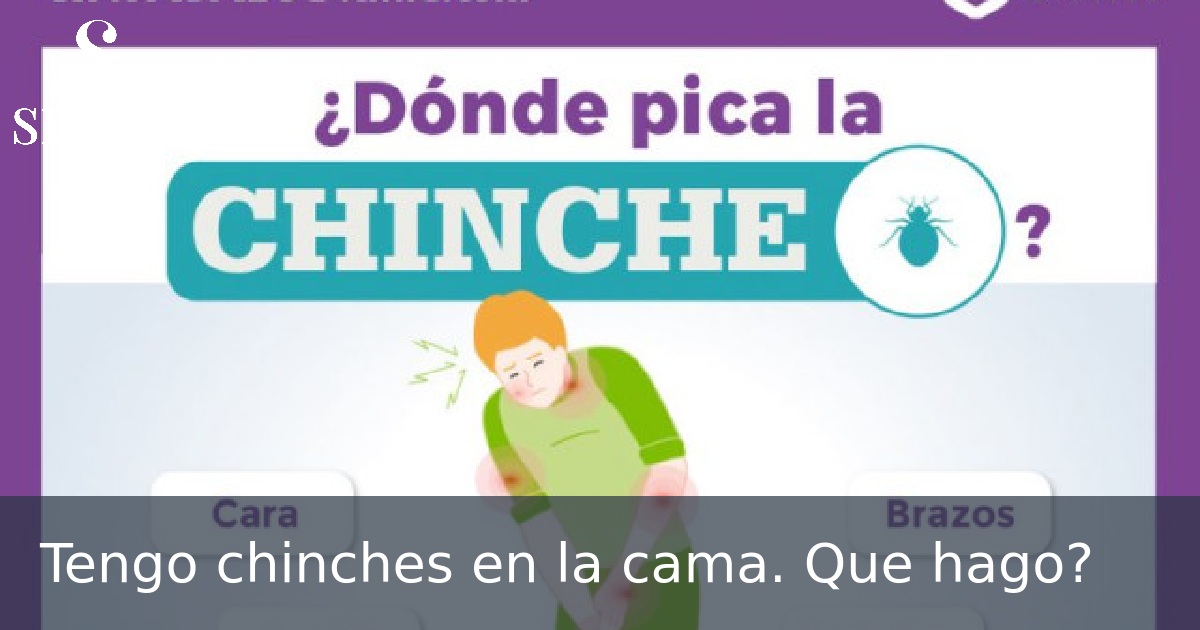 Tengo chinches en la cama. Que hago?