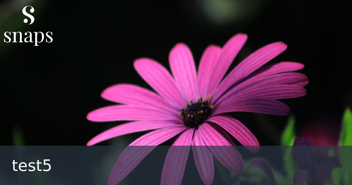 test5