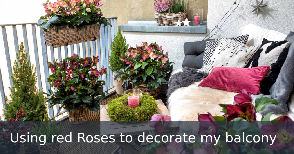 Using red Roses to decorate my balcony