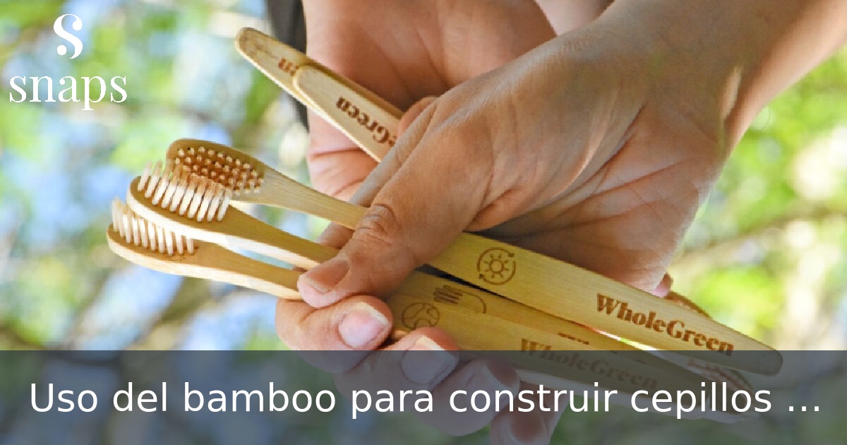 Uso del bamboo para construir cepillos de dientes