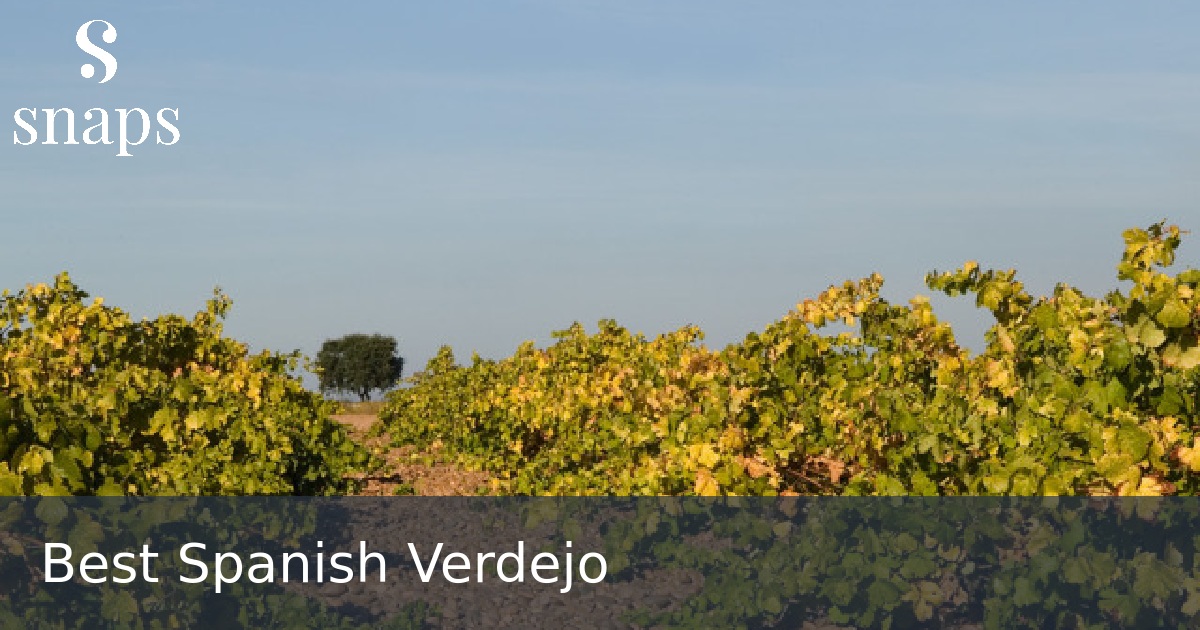 Best Spanish Verdejo