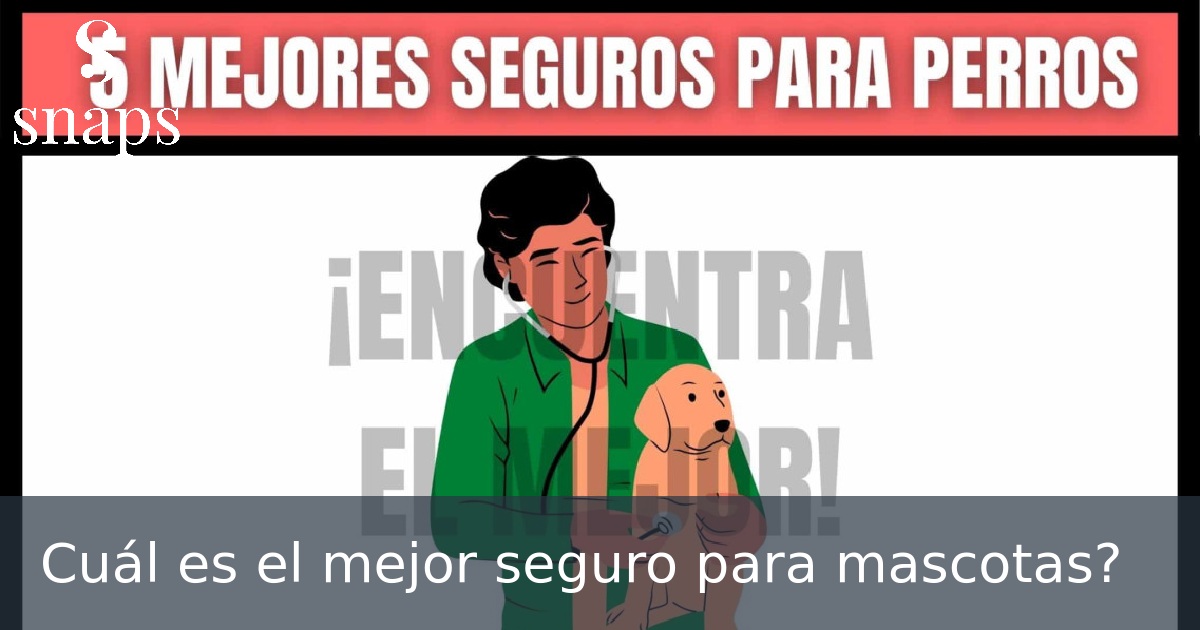 Cuál es el mejor seguro para mascotas?