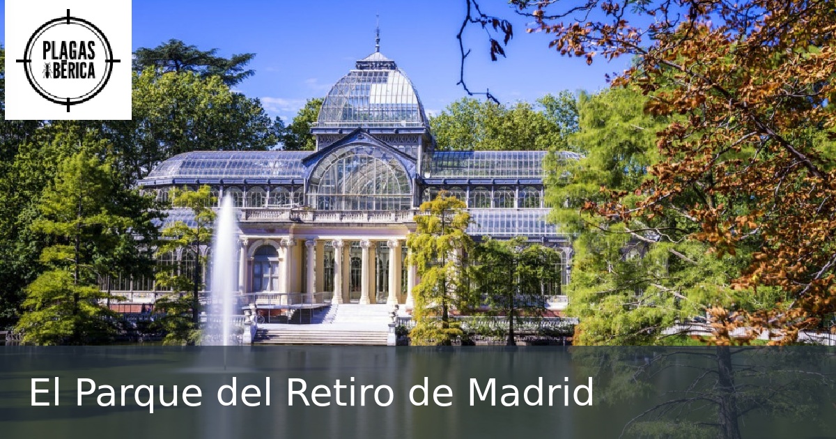 El Parque del Retiro de Madrid