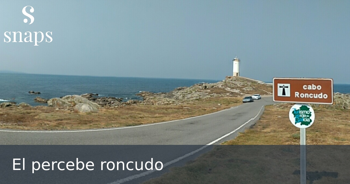 El percebe roncudo