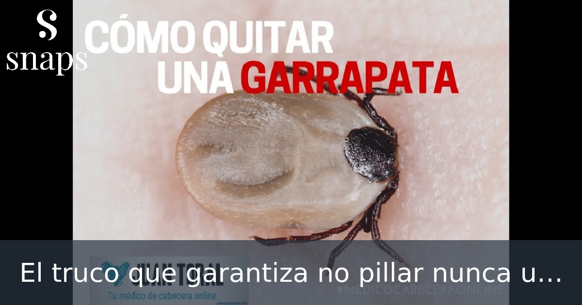 El truco que garantiza no pillar nunca una garrapata