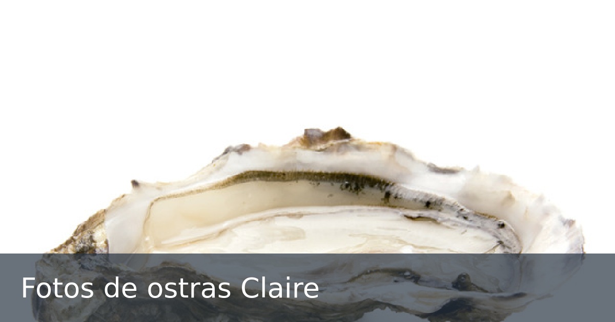 Fotos de ostras Claire