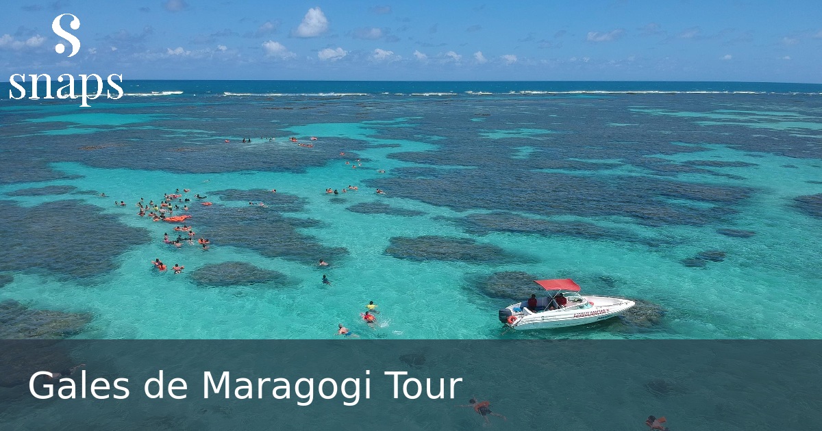 Gales de Maragogi Tour
