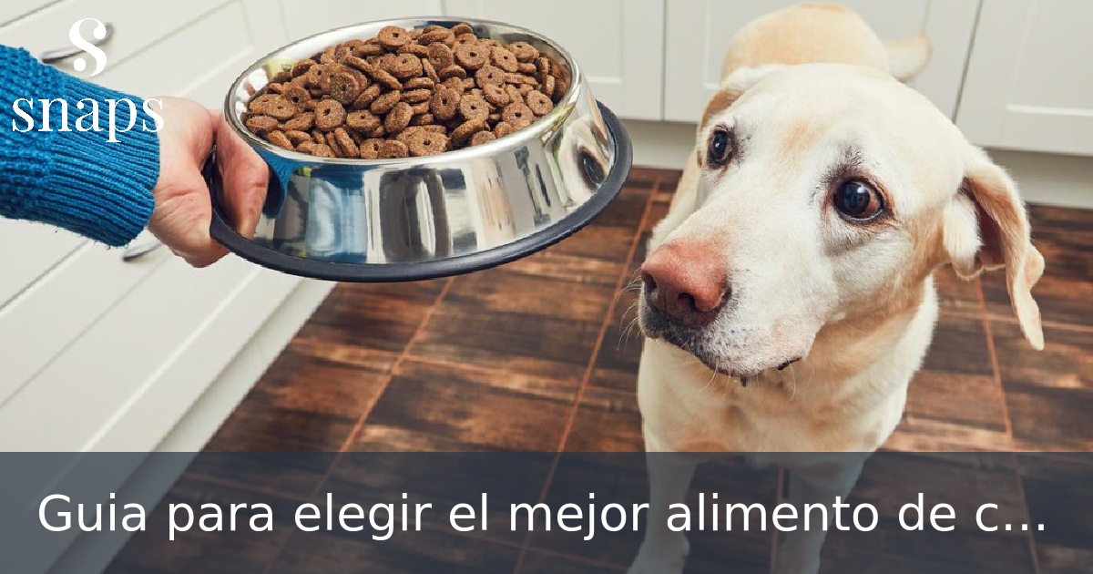 Guia para elegir el mejor alimento de calidad para tu perro