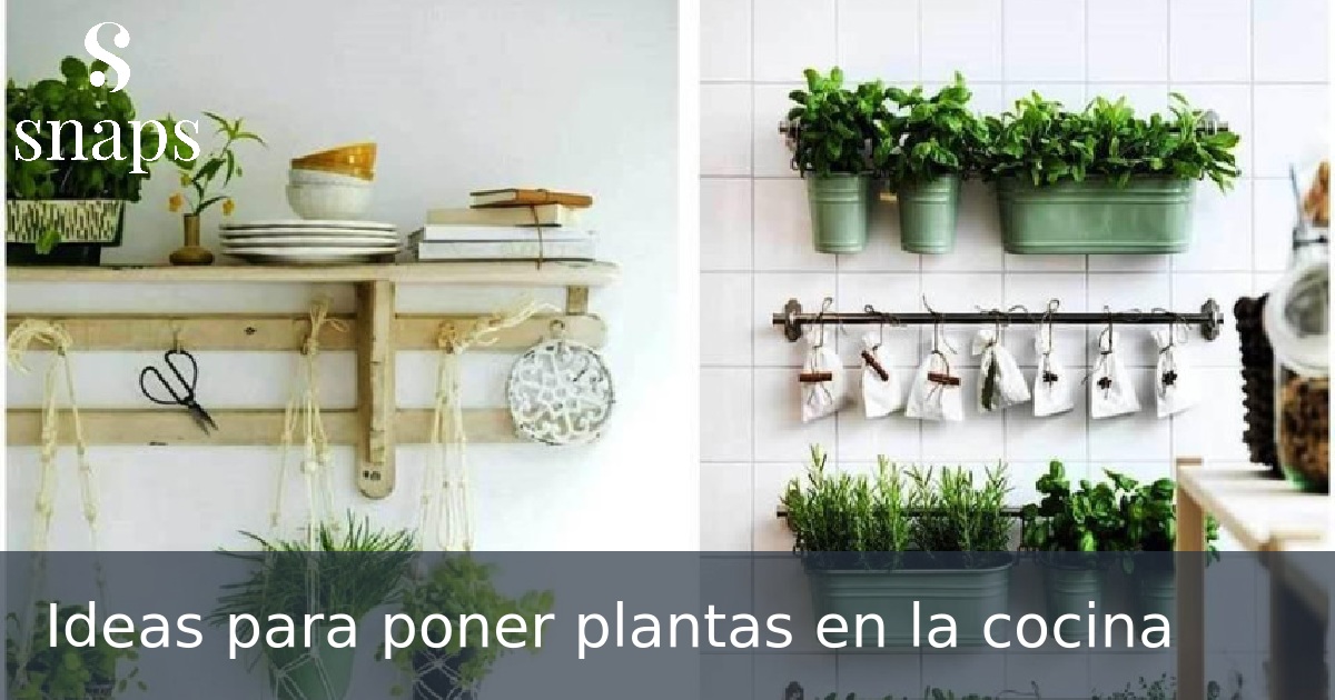 Ideas para poner plantas en la cocina