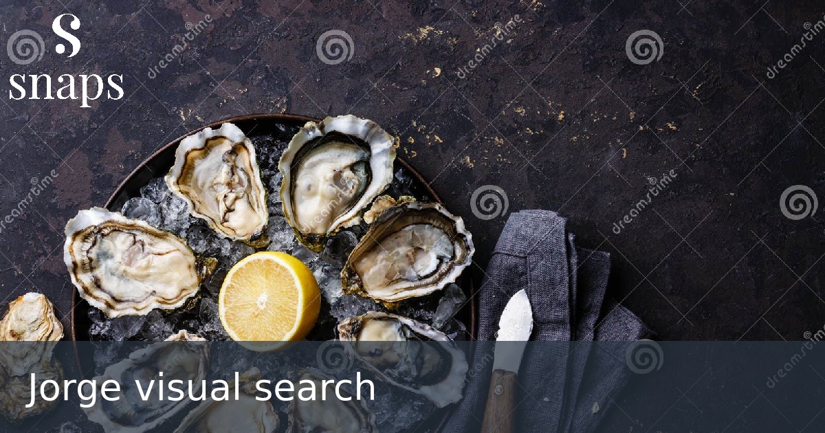 Jorge visual search