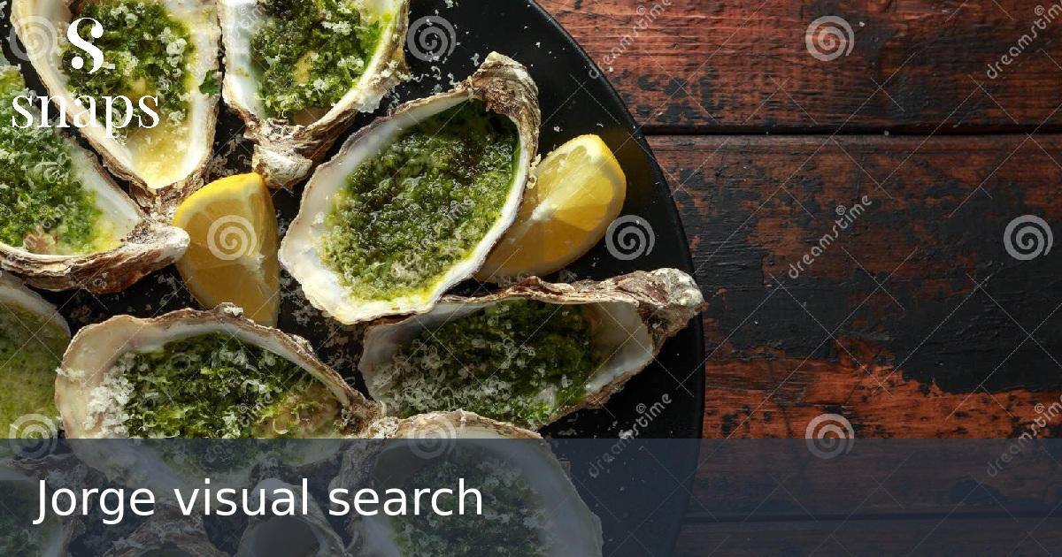 Jorge visual search