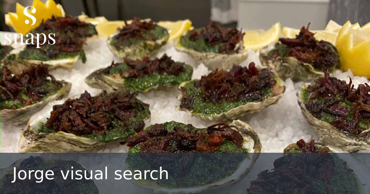 Jorge visual search