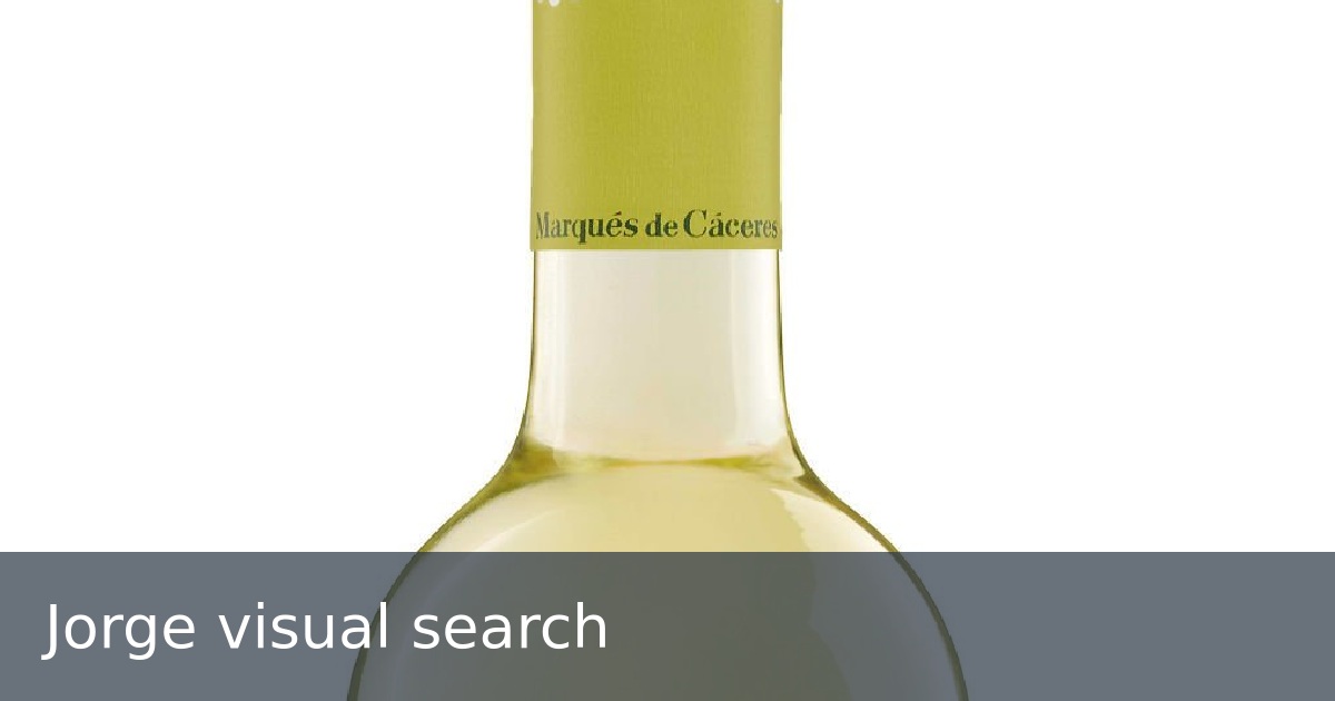Jorge visual search