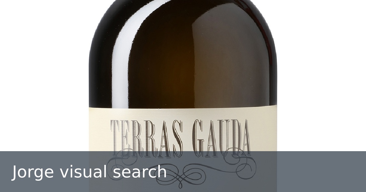 Jorge visual search