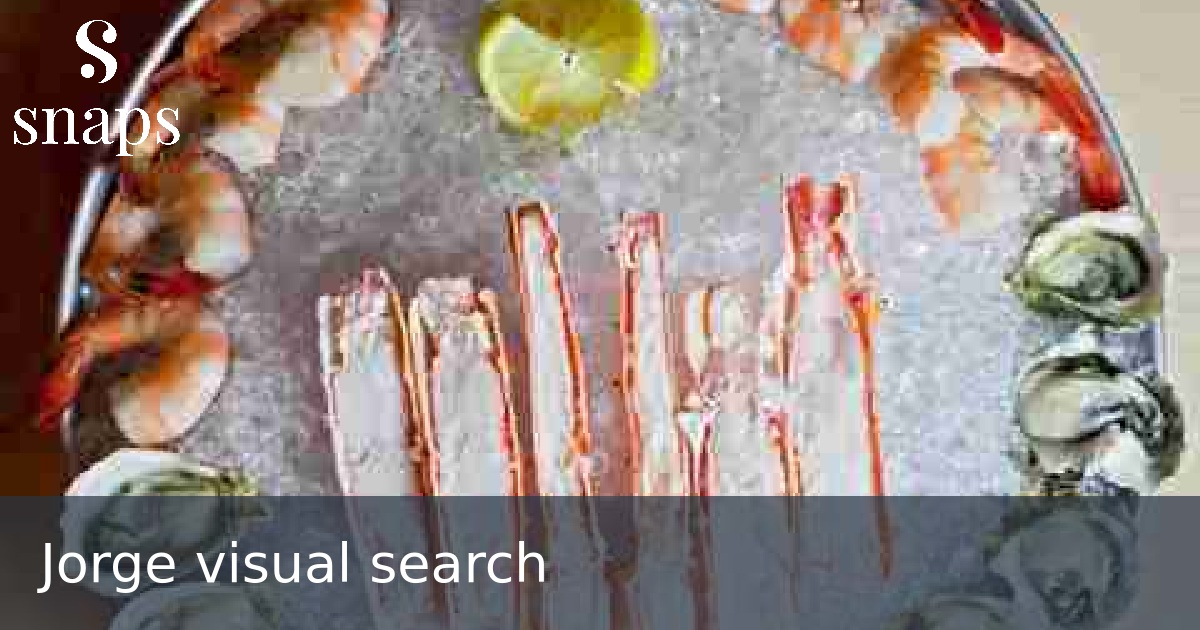 Jorge visual search