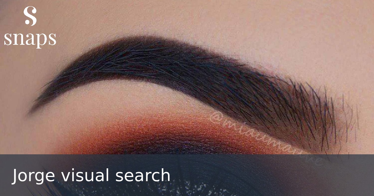 Jorge visual search