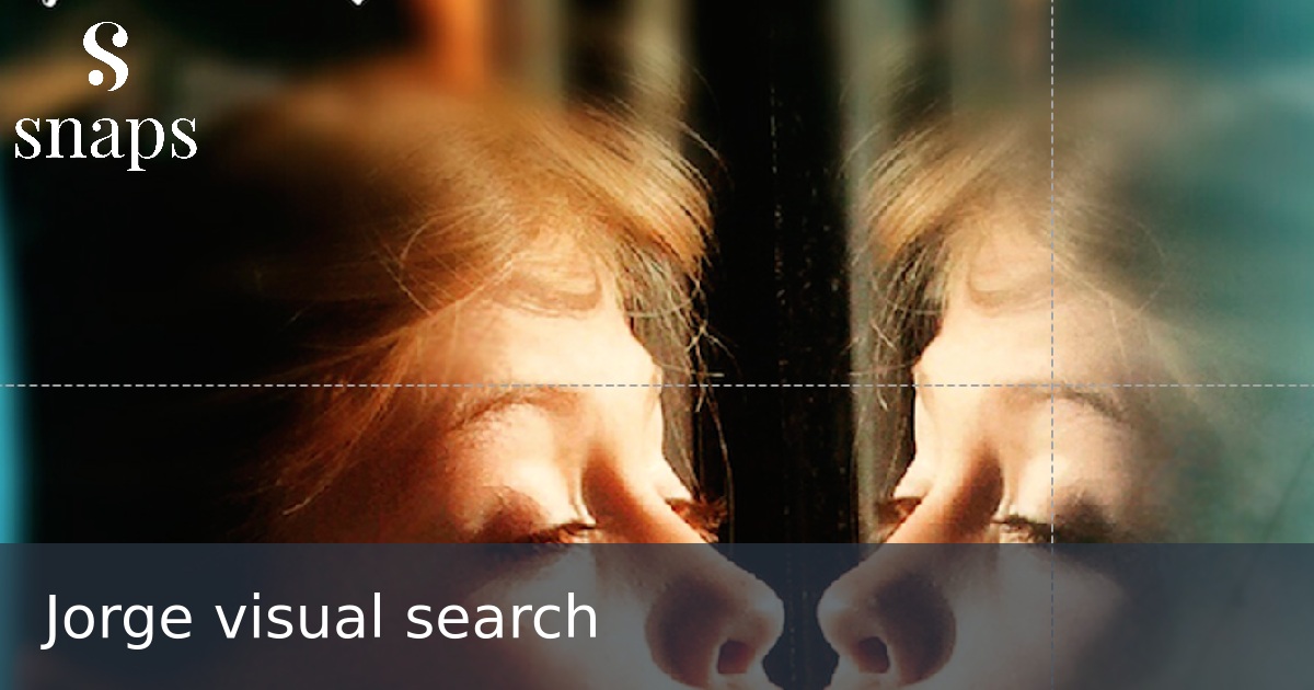 Jorge visual search