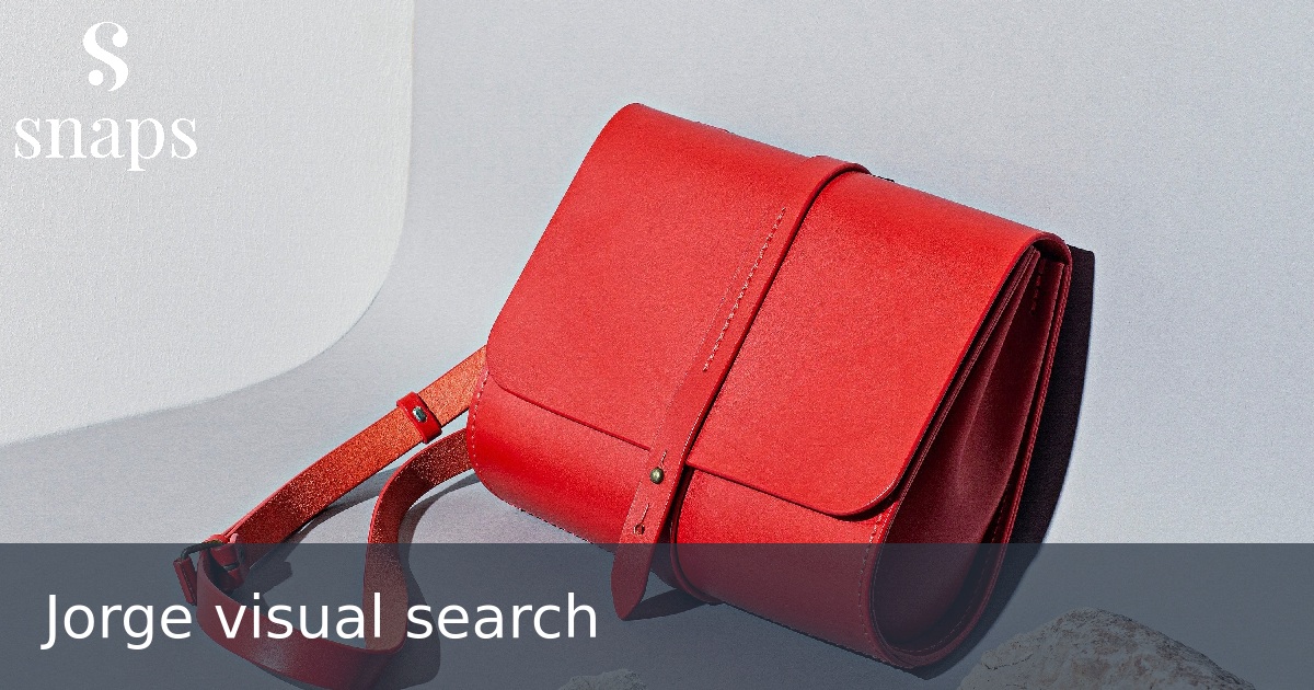 Jorge visual search