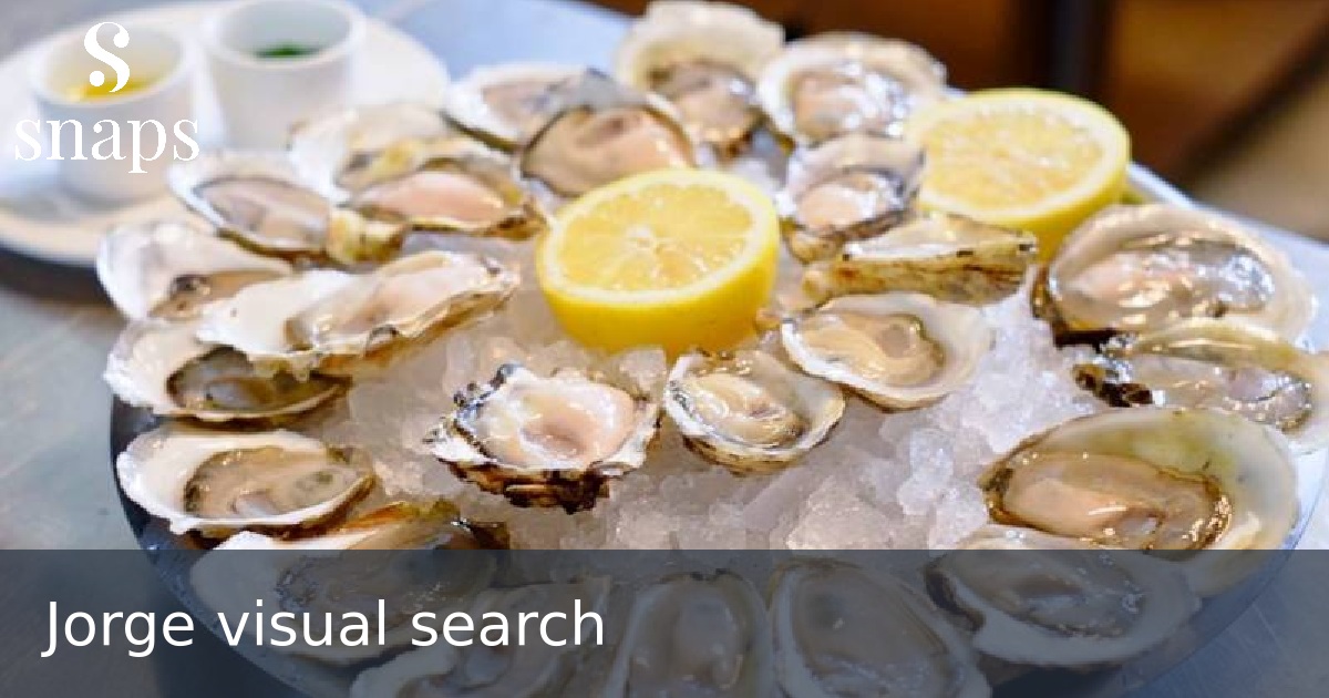 Jorge visual search