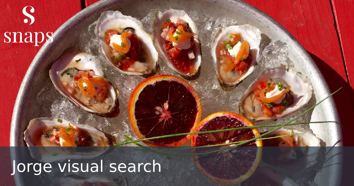 Jorge visual search